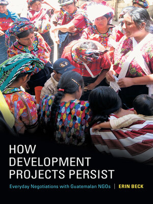 cover image of How Development Projects Persist